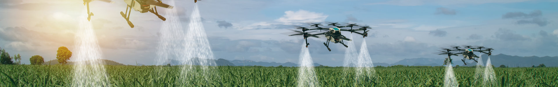 Drone agriculture