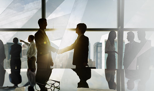 investec wealth and investment equity fund