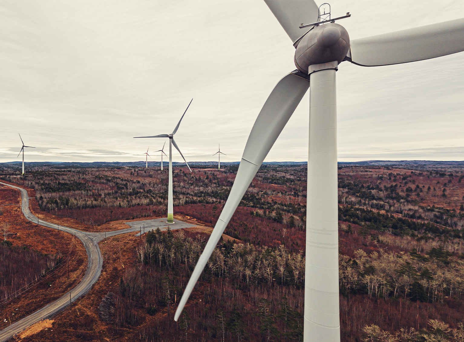 wind turbines on a wind farm