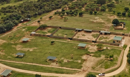 Bomas at Care for Wild showing expansion of rehab area