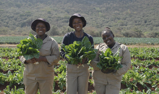 Care-for-wild-female-farmers-page-copy.jpg