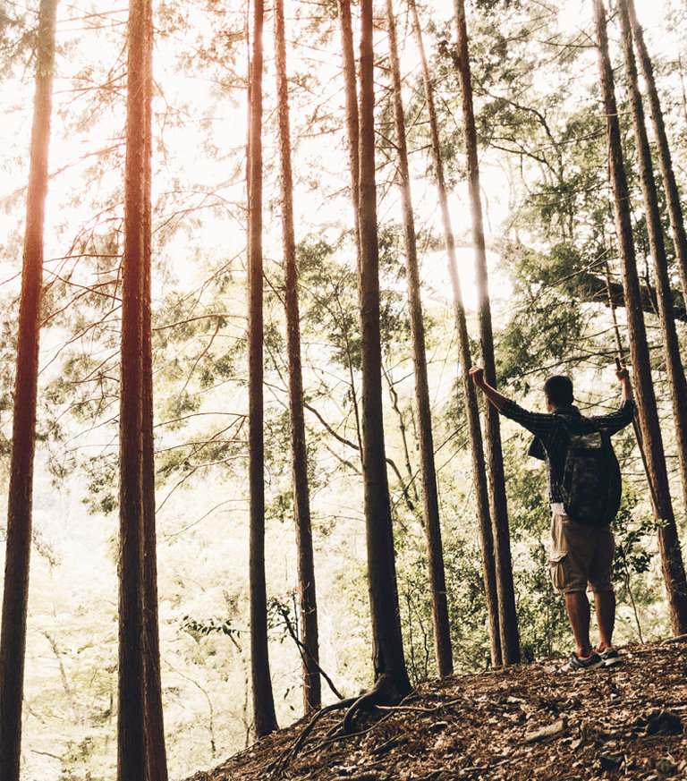 man enjoying a hike in the forest