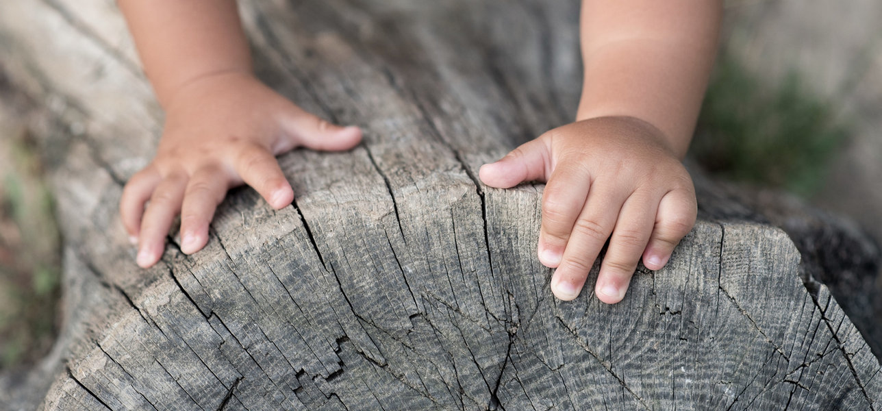 child's hands on a tree stump