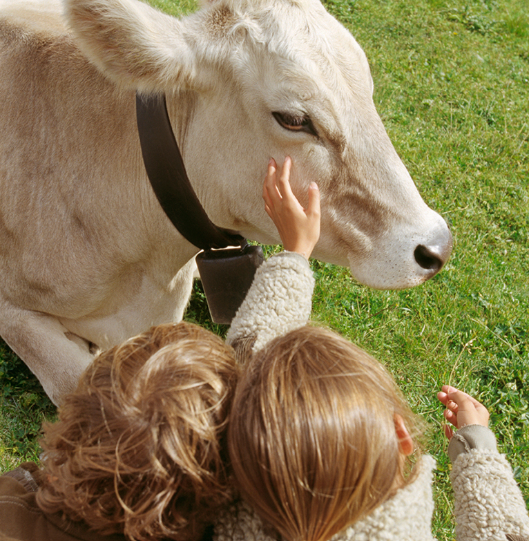 kids petting cow