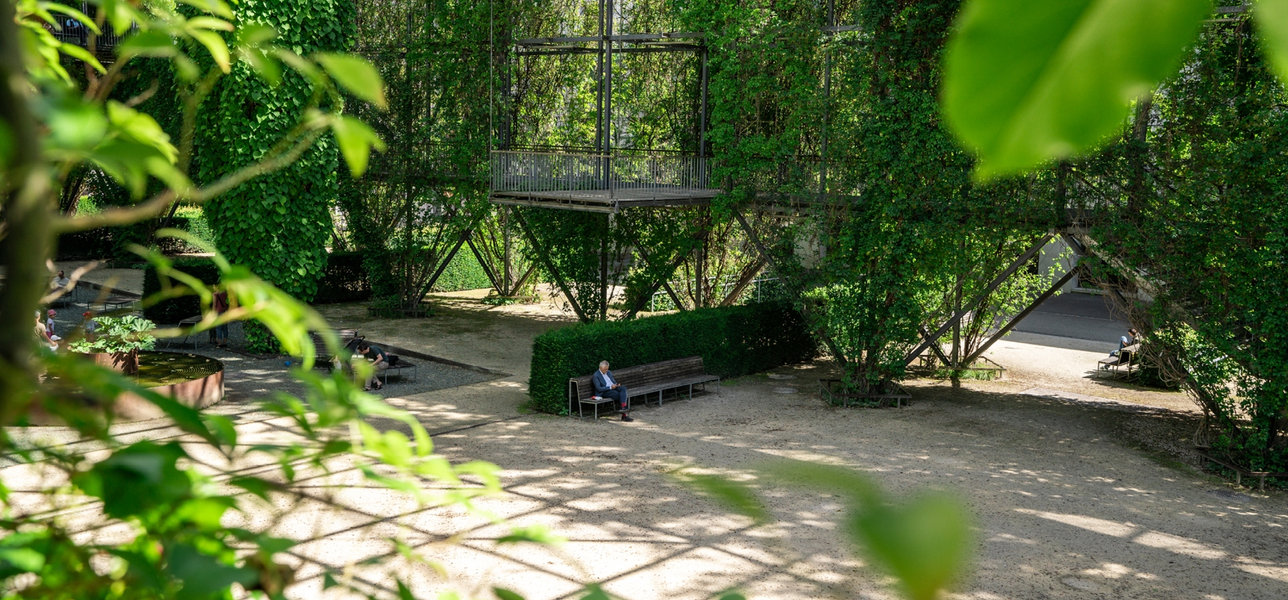 man sitting in urban greenhouse