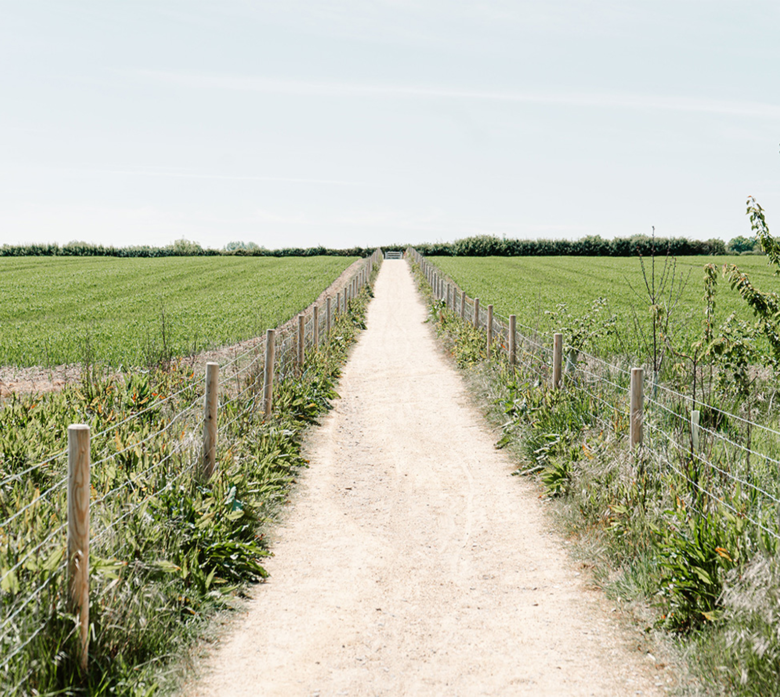 Looking up a countryside path between two fields