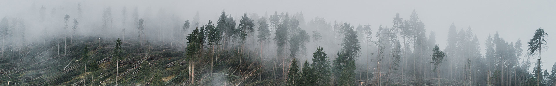 Climate damage