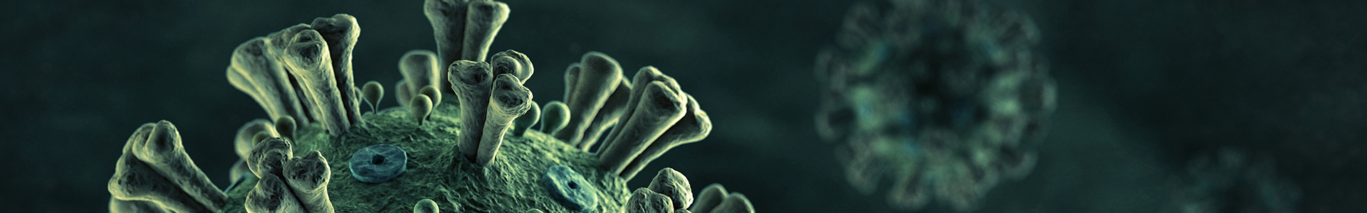 Chinese citizens gathered during the coronavirus outbreak in January