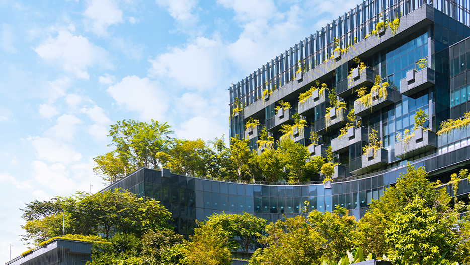 Modern building with greenery growing over it