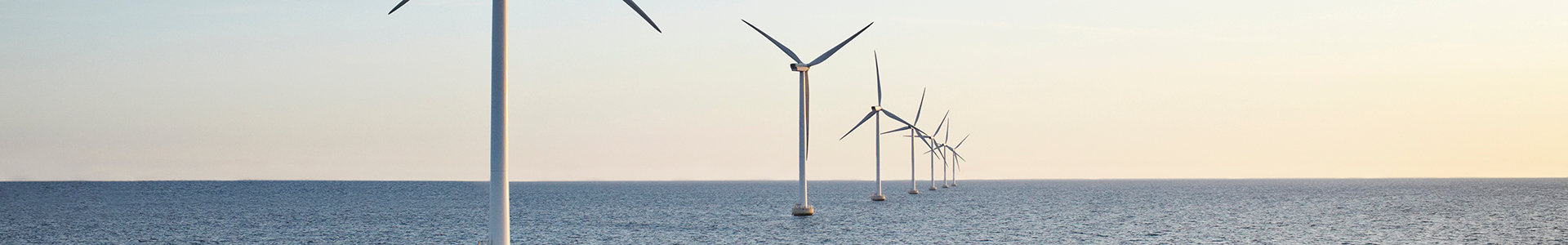 Harold's Herald: the transition to Net Zero