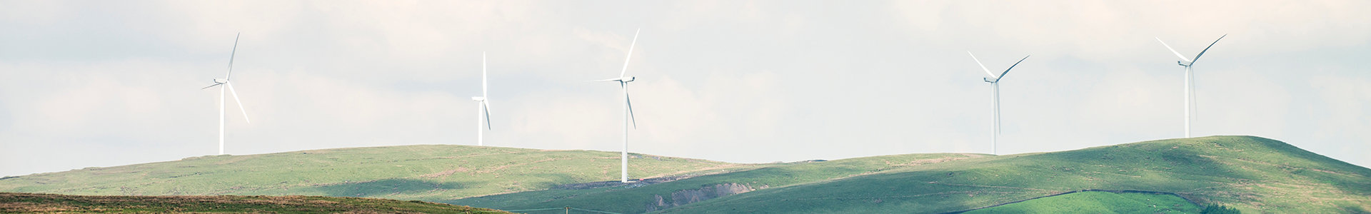 Net zero