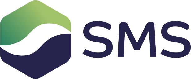 Smart Metering Systems logo