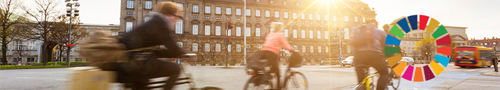 people cycling in Copenhagen