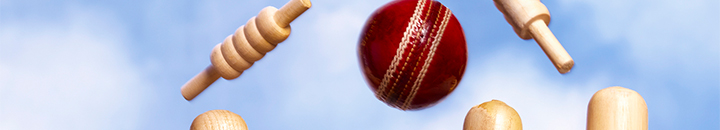 Cricket ball hitting the wickets