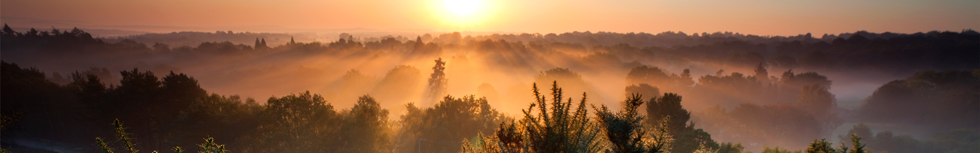 Sunrise over the Surrey hills