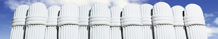 Wall of cricket pads