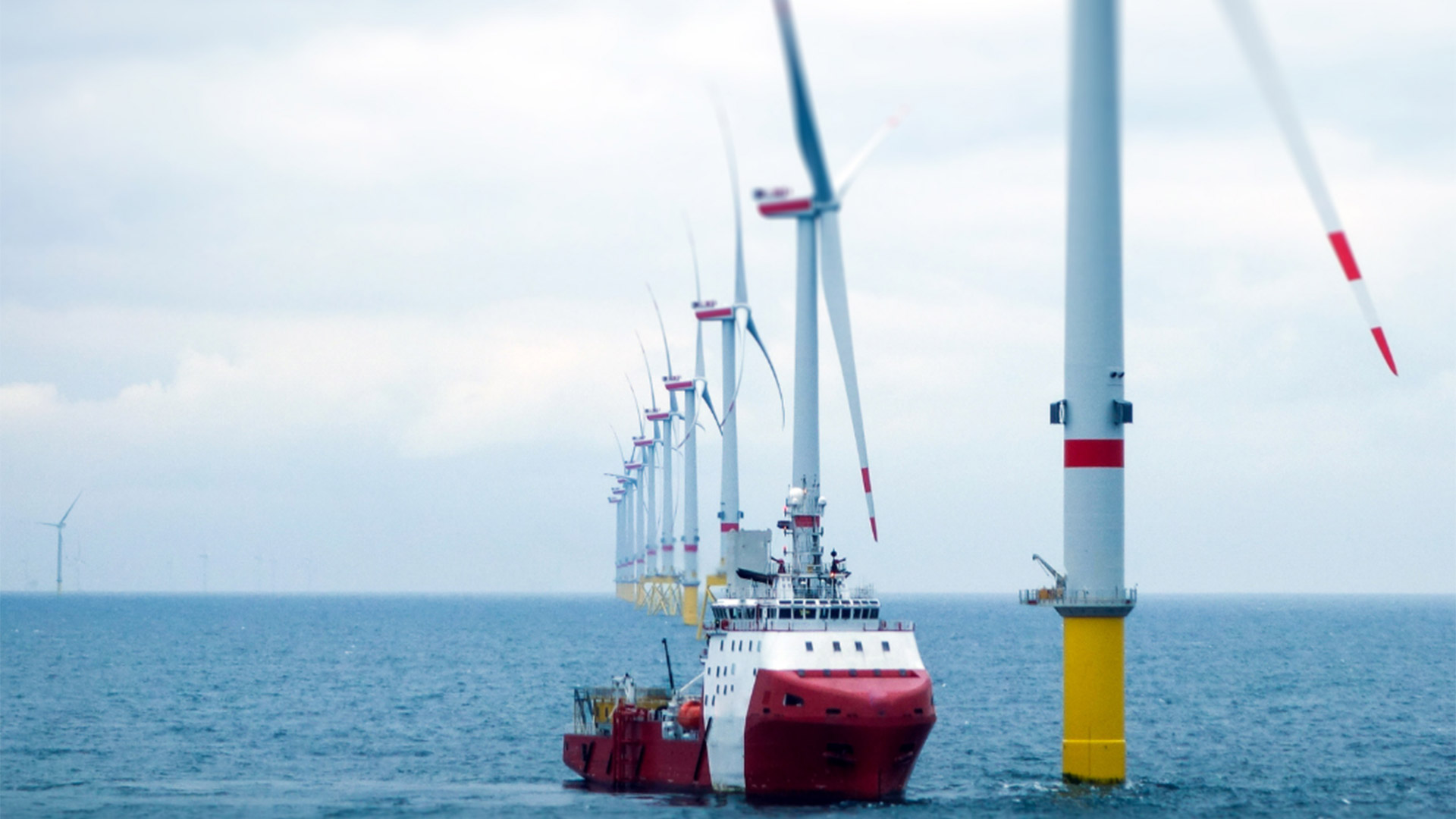 Ship passing wind turbines in the ocean