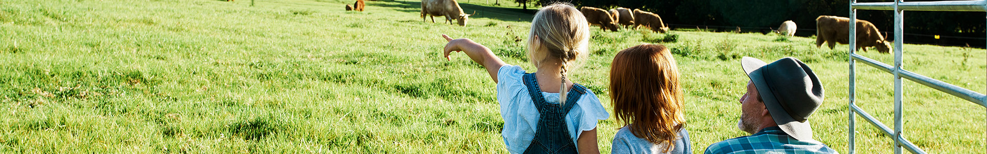 Family with young child in a field pointing at the cows