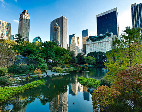 New York skyline from Central Park