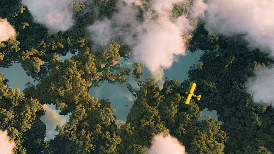 Plane in trees