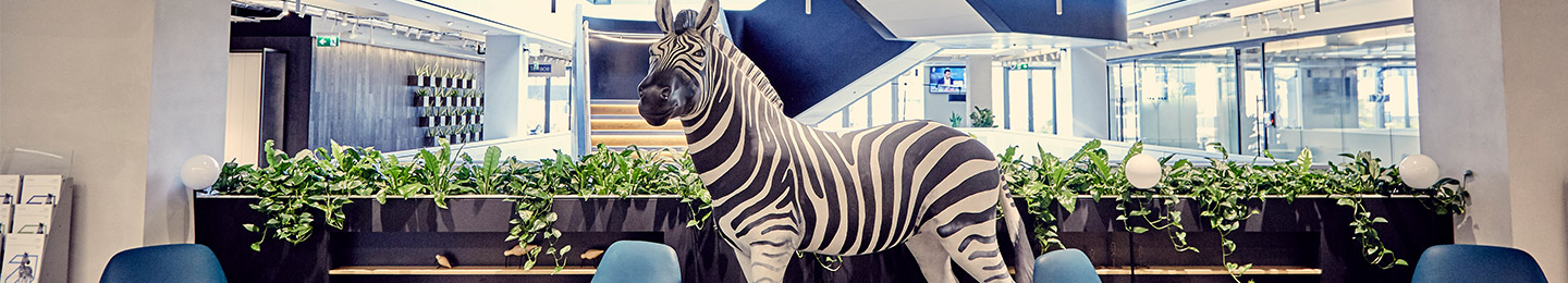 zebra at investec office