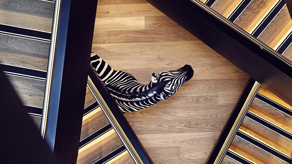 Investec zebra in a stairwell