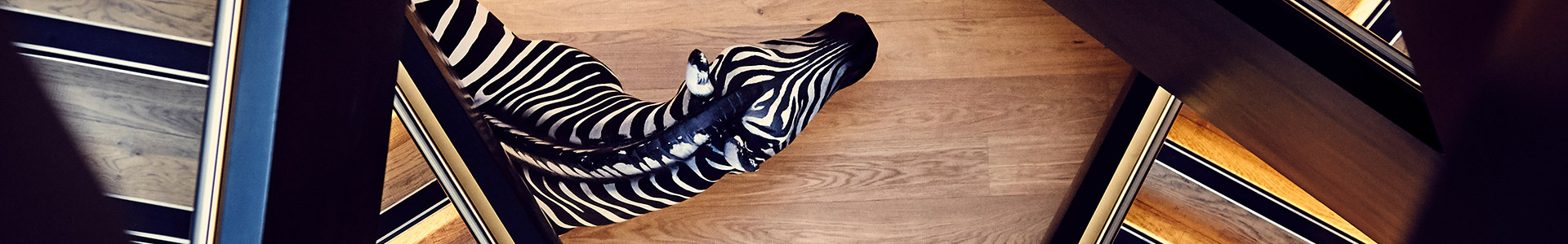 Investec zebra in a stairwell
