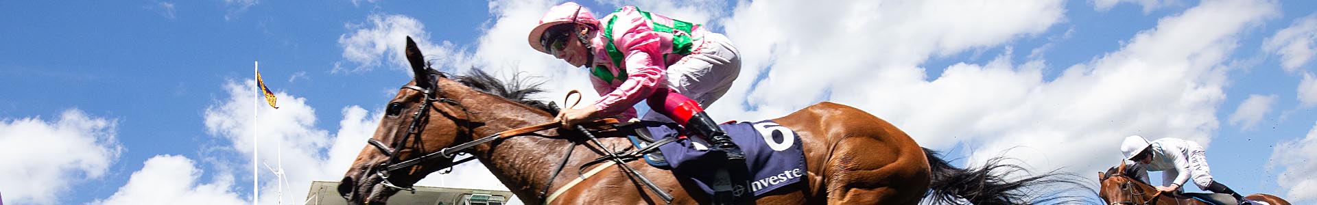 Horse and jockey