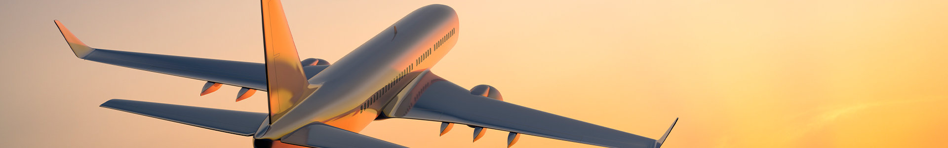 A plane taking off against backdrop of a sunset