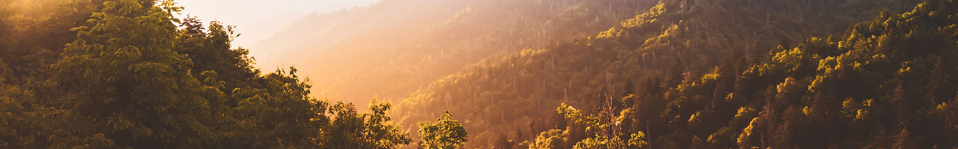 Rolling Mountains covered in trees