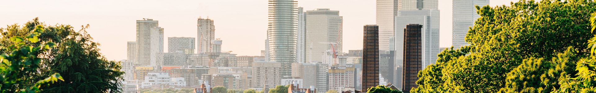 A view of the City of London, looking through leafy trees