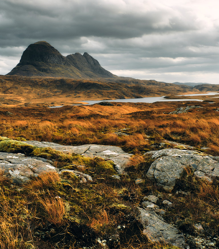 looking towards a mountain in distance from the ground
