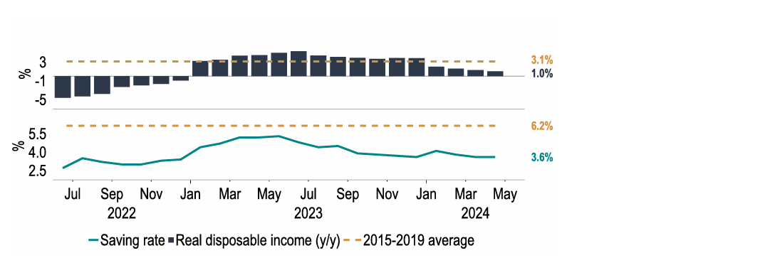 Chart 10: Real household disposable income growth is slowing - will this impact consumption?