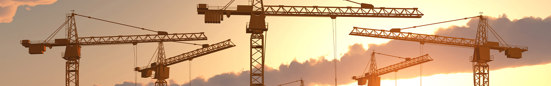 A number of cranes in the sky
