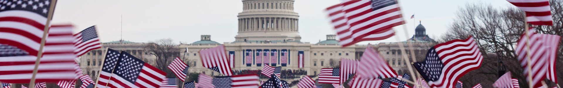 Waving American flags outside the White House