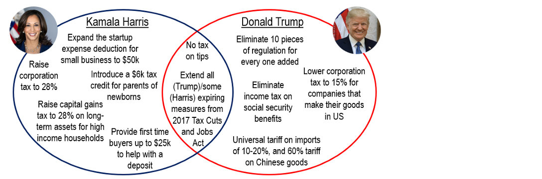 Chart 11: What do the two Presidential candidates propose for the economy? 