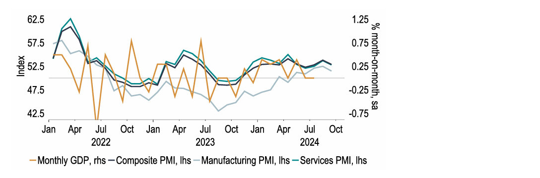 Chart 19: PMIs have been pointing to expansion, but monthly GDP has recently stagnated
