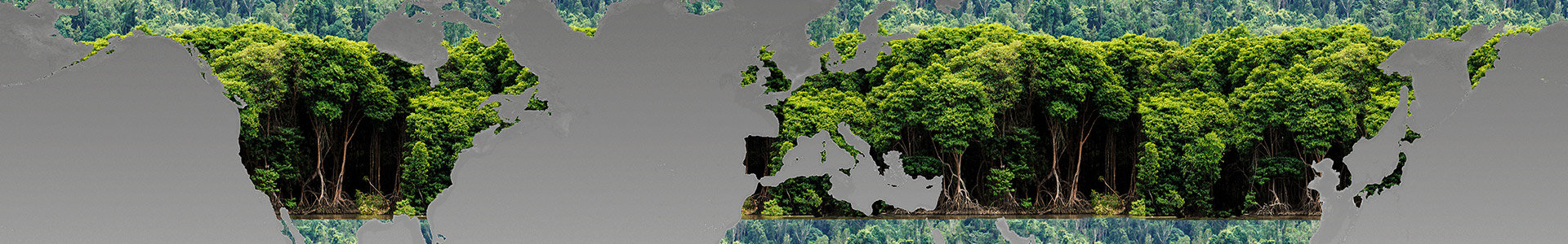 World map with green forest trees covered over the land