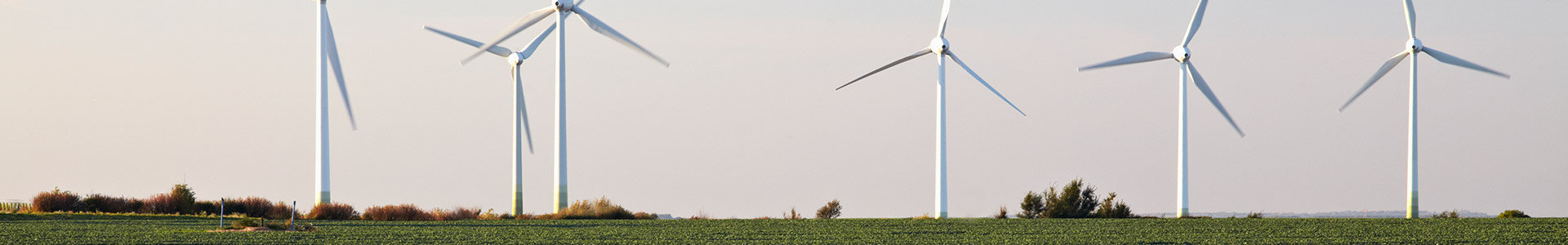Wind turbines in a field