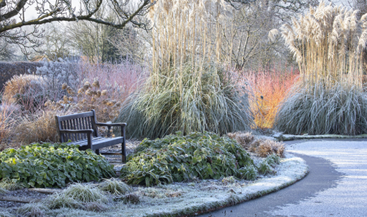 Autumn Garden Bench