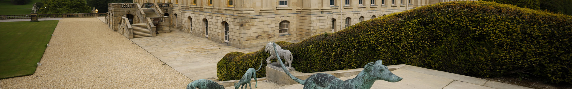 Chatsworth Dogs