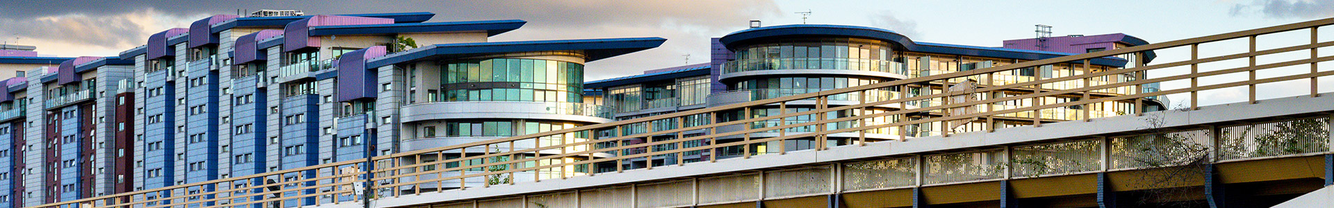 apartments to rent