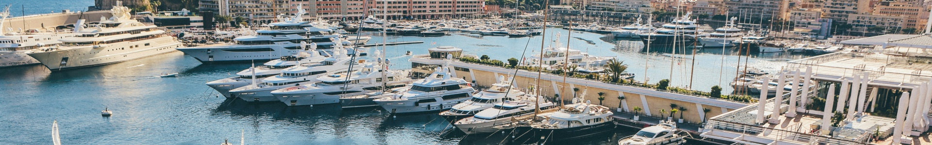 Is the purchase of luxury items the best way to make your investment portfolio robust?
