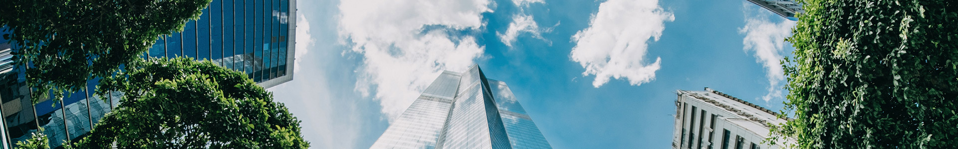 Looking up at an office tower surrounded by trees