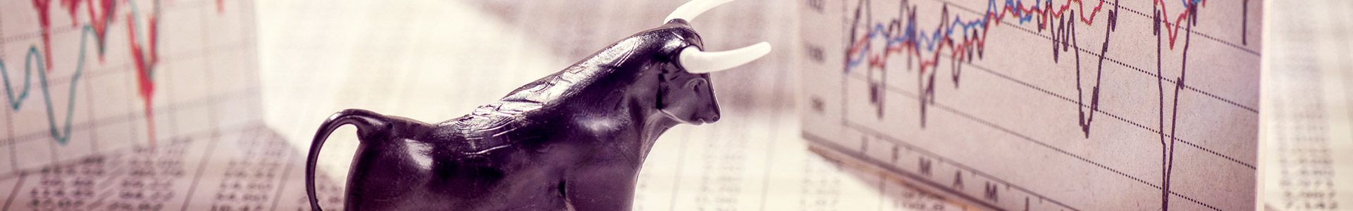 Bull Market