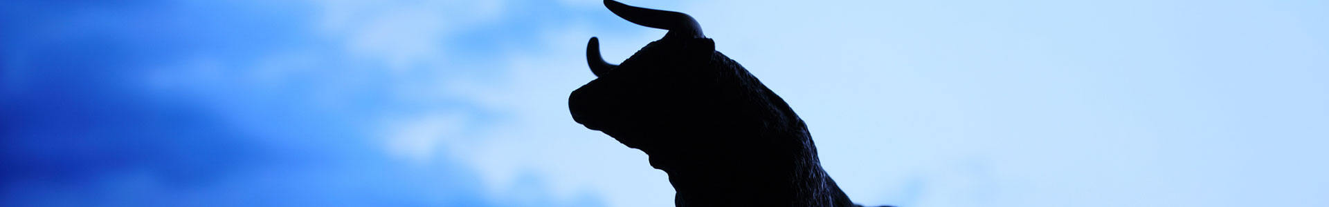 How to reconcile the bulls and bears when it comes to structured investments