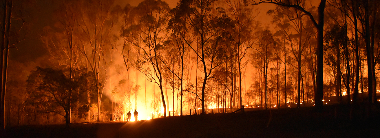 Forest fires in Queensland, Australia
