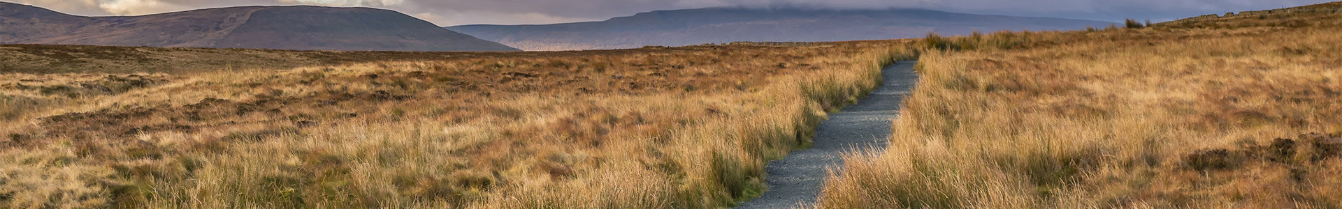 Path through rugged countryside