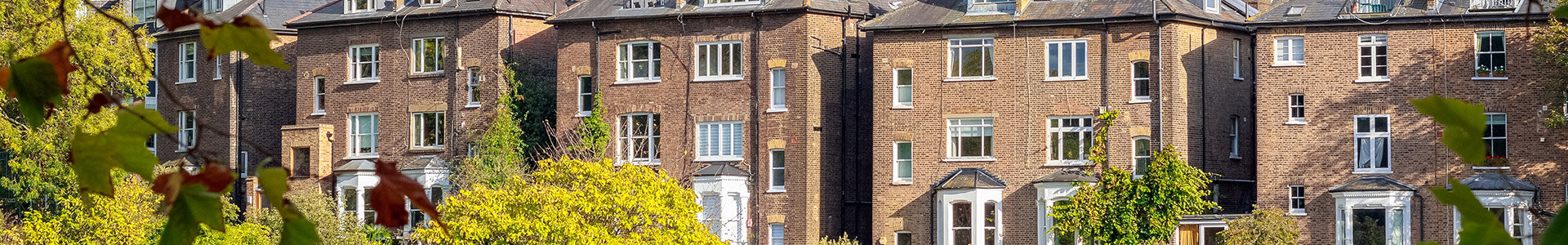 Row of houses by river