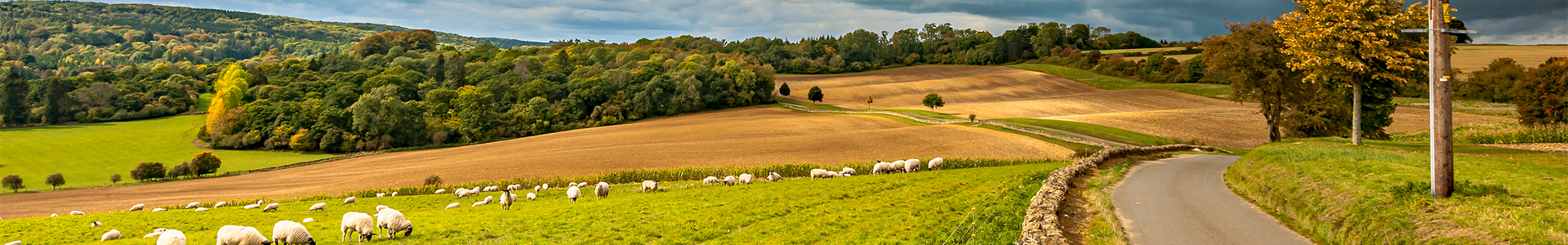 Second homes in the UK countryside